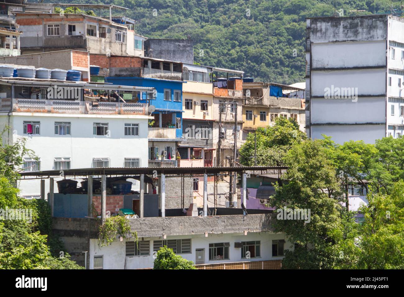 Colline bleue favela dans le quartier de flamengo à Rio de Janeiro, Brésil. Banque D'Images