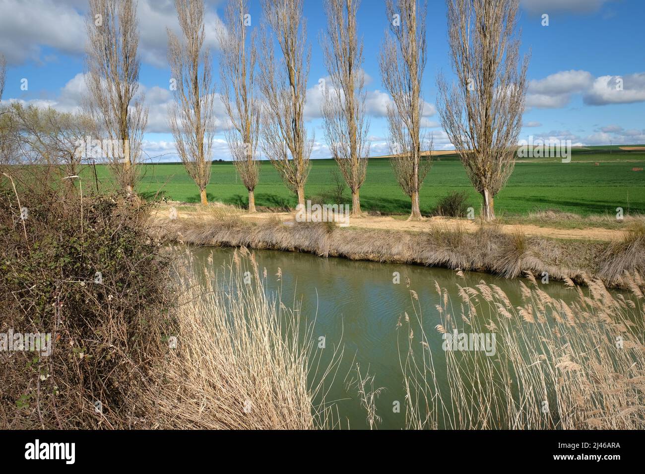 Canal de Castille - Canal de Castilla - près de la ville de Becerril de Campos, Castille et León, Espagne Banque D'Images