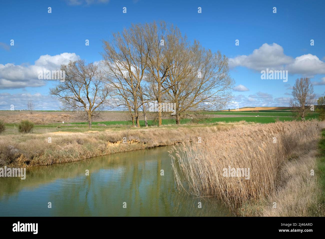 Canal de Castille - Canal de Castilla - près de la ville de Becerril de Campos, Castille et León, Espagne Banque D'Images