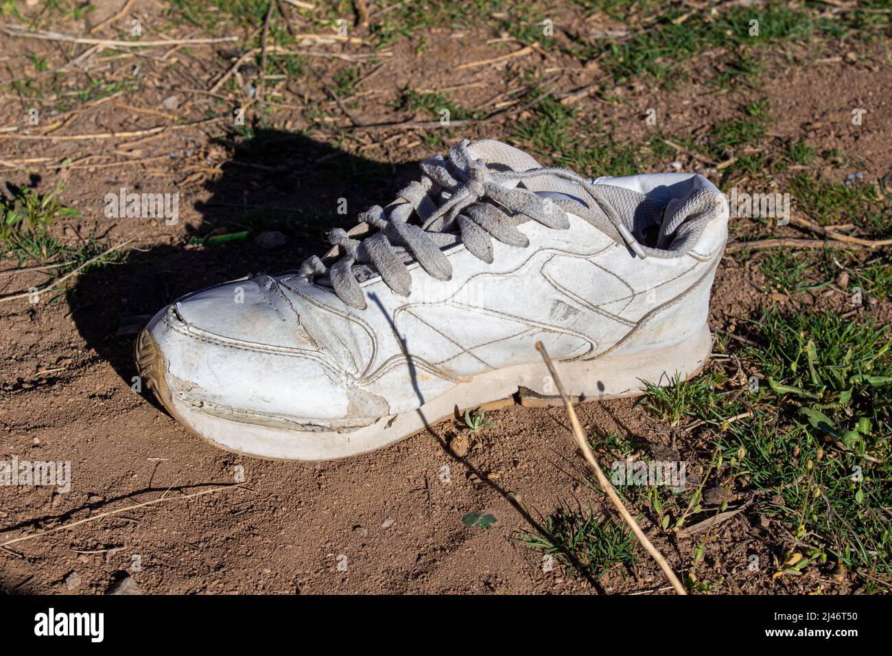 Ancienne sneaker jetée dans la nature. Concept de pollution de l'environnement. Ancienne chaussure blanche au sol. Banque D'Images