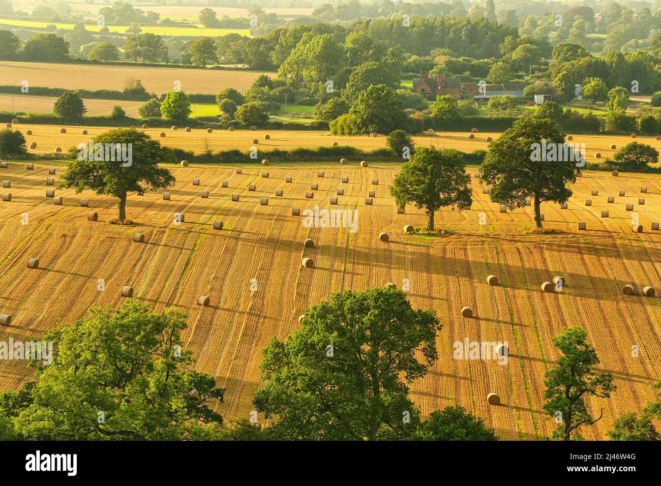 Temps de récolte à Eville South Staffordshire Banque D'Images