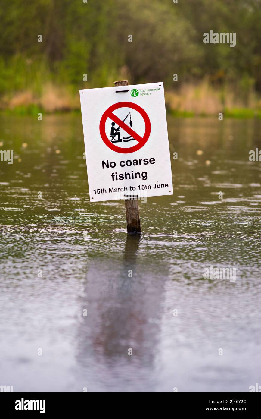 Une agence pour l'environnement signe dans le lac ornemental sur Southampton Common interdisant la pêche à l'eau grossière du 15th mars au 15th juin Banque D'Images