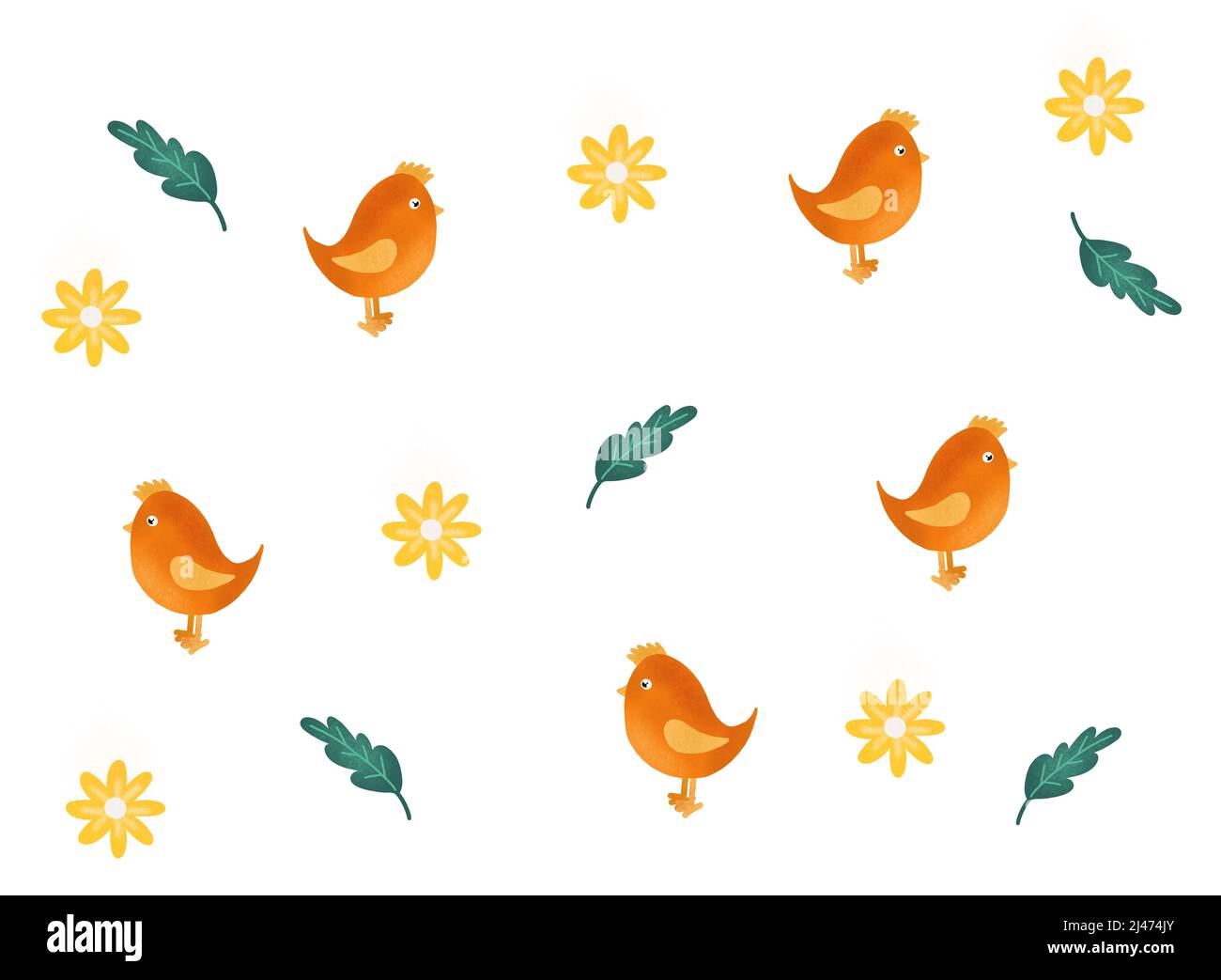 Ensemble d'oiseaux et de fleurs colorés isolés sur fond blanc Banque D'Images