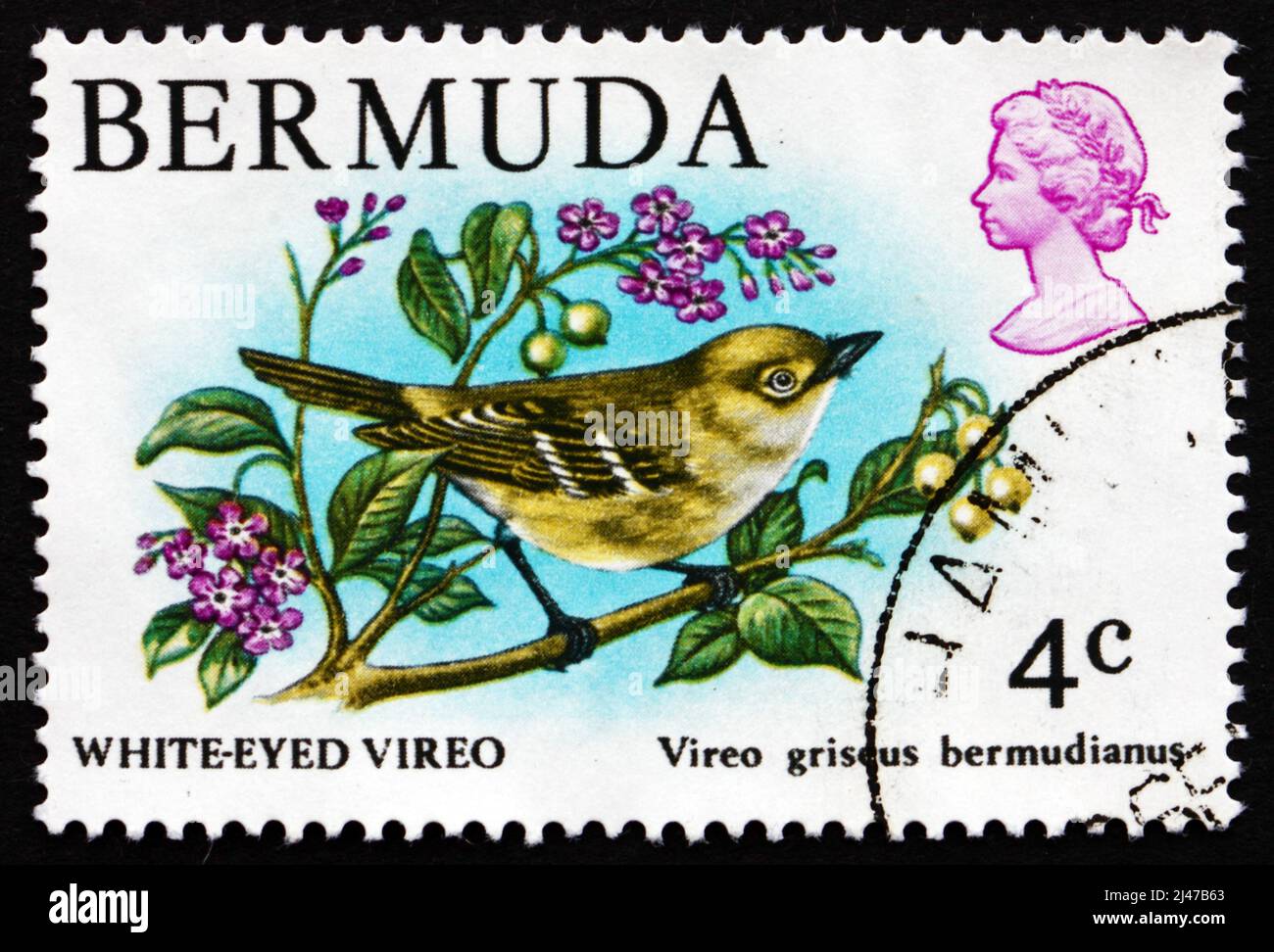 BERMUDES - VERS 1978 : un timbre imprimé aux Bermudes montre Vireo à yeux blancs, Vireo griseus Bermudianus, Songbird, vers 1978 Banque D'Images