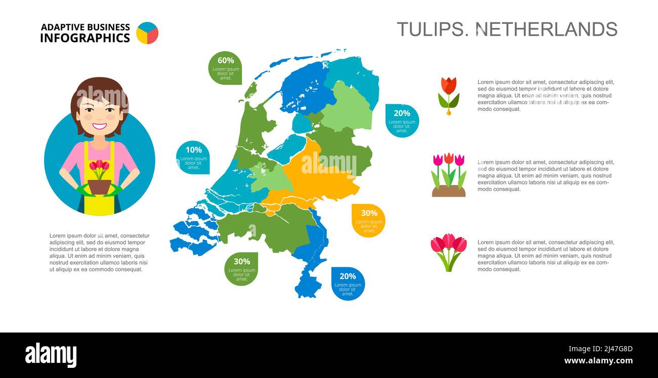 Graphique des pourcentages de tulipes des pays-Bas. Données d'entreprise. Produit, schéma, conception. Concept pour infographie, modèles, présentation. Peut être utilisé pour la partie supérieure Illustration de Vecteur