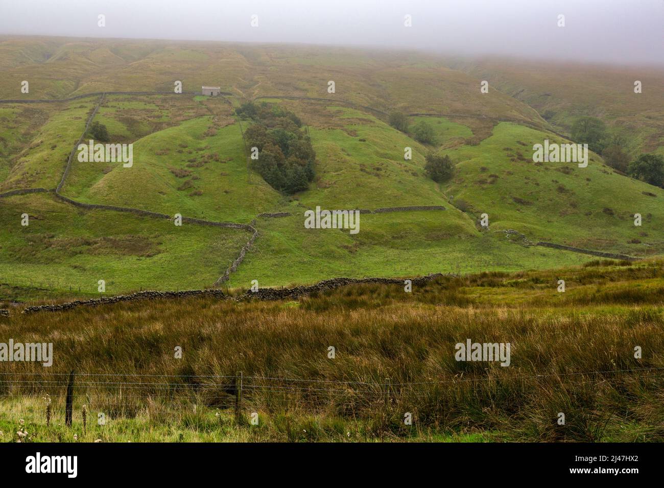 Royaume-uni, Angleterre. Septembre brouillard dans les Yorkshire Dales. Banque D'Images