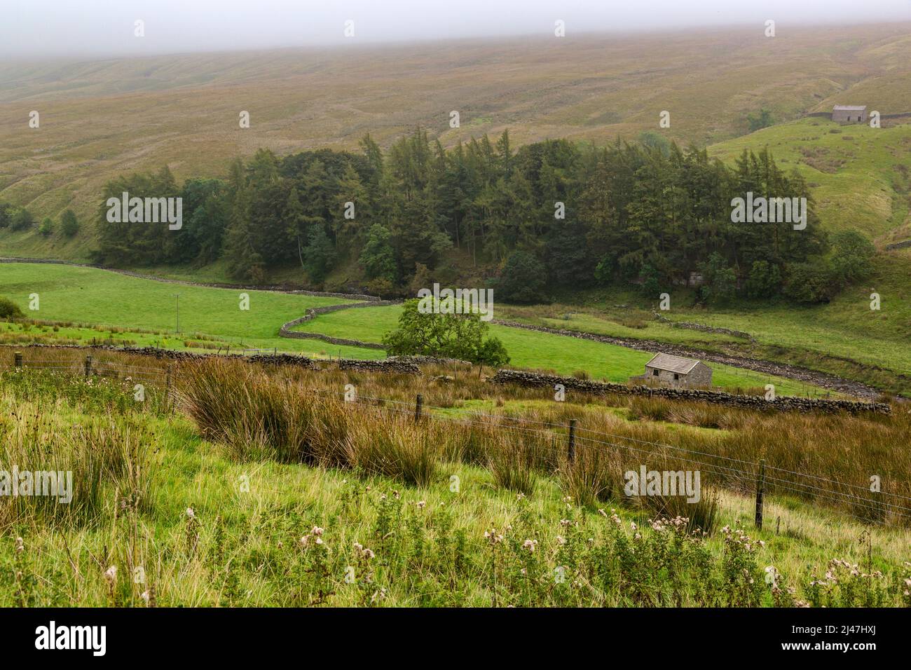 Royaume-uni, Angleterre. Septembre brouillard dans les Yorkshire Dales. Banque D'Images