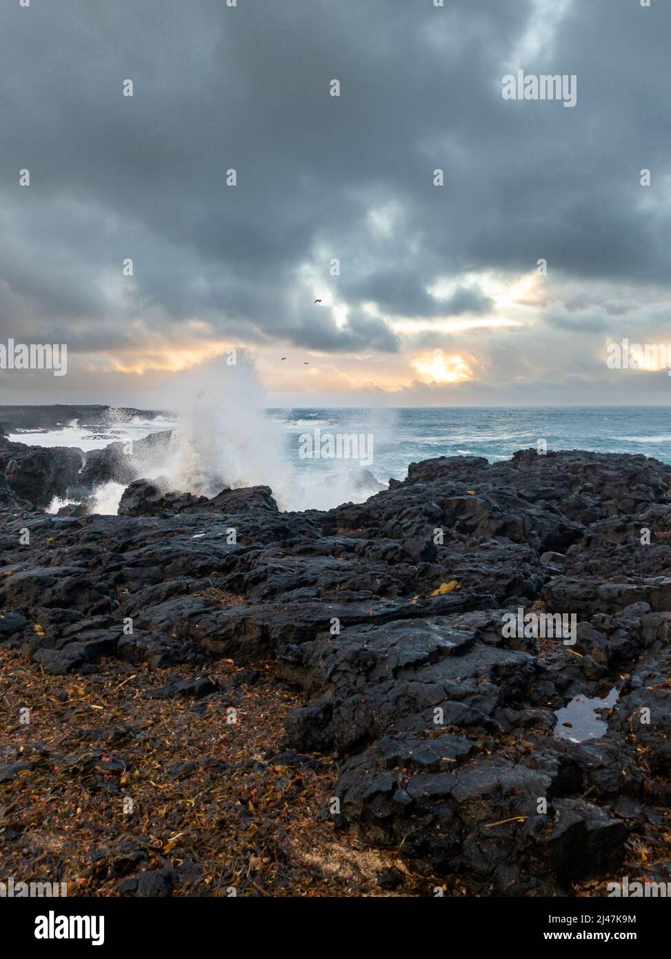 Vagues d'océan se brisant sur l'écart entre les plaques continentales dans l'ouest de l'Islande Banque D'Images
