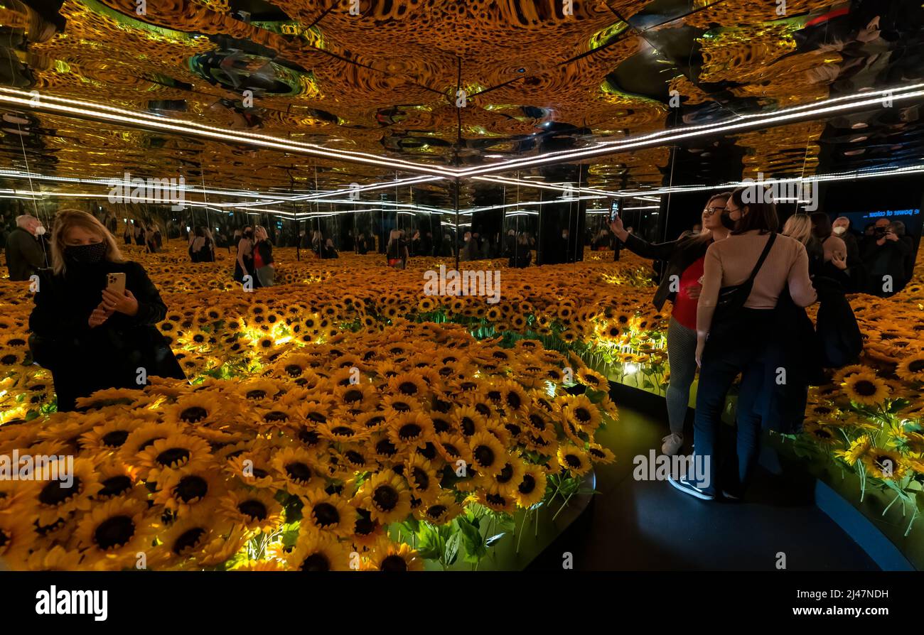 Les gens dans le miroir de tournesol à l'exposition d'art Van Gogh Alive, Édimbourg, Écosse, Royaume-Uni Banque D'Images