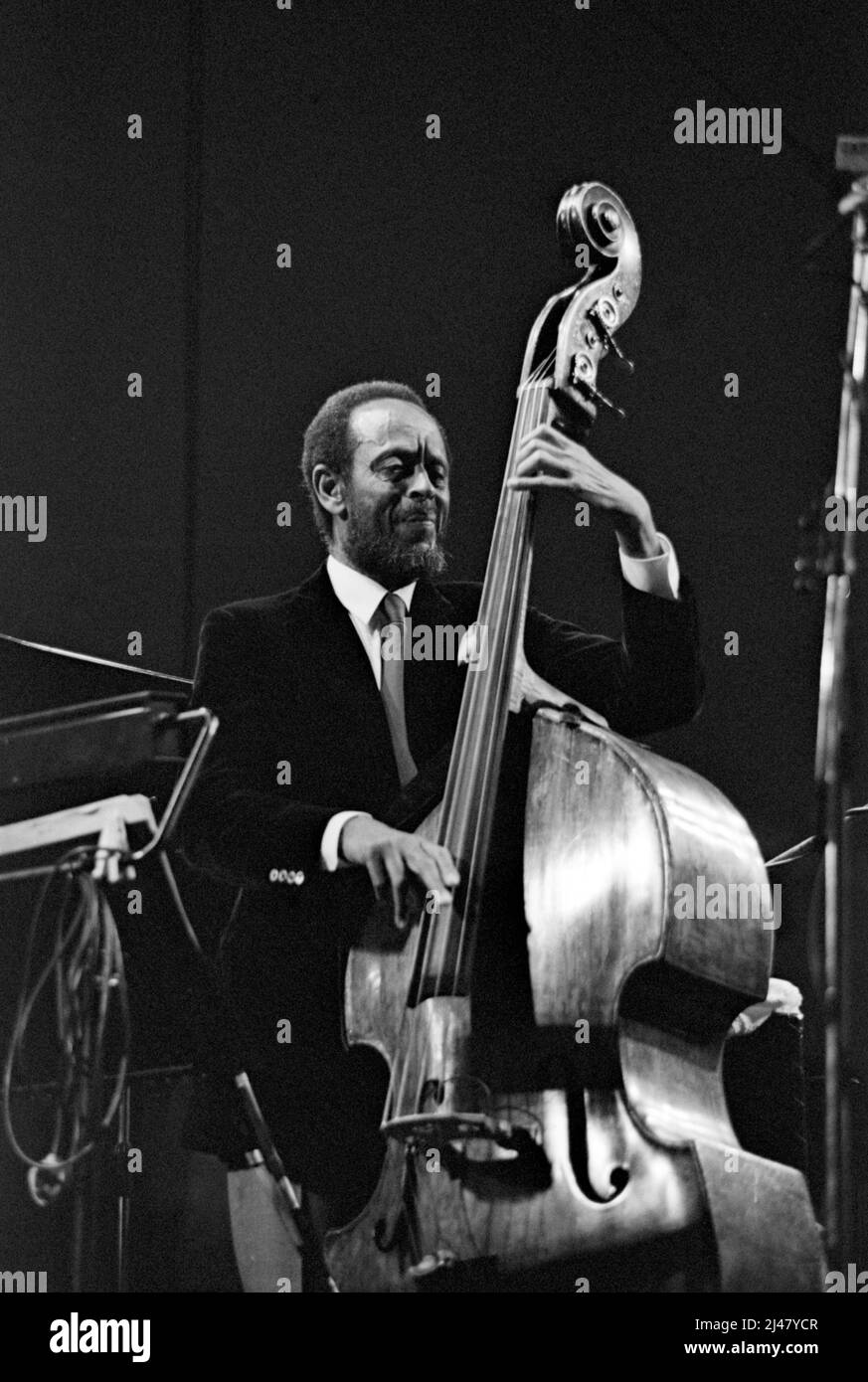 Percy Heath, bassiste américain, joue avec le Modern Jazz Quartet au Capital radio Jazz Festival 1982 à Knebworth, en Angleterre. Banque D'Images