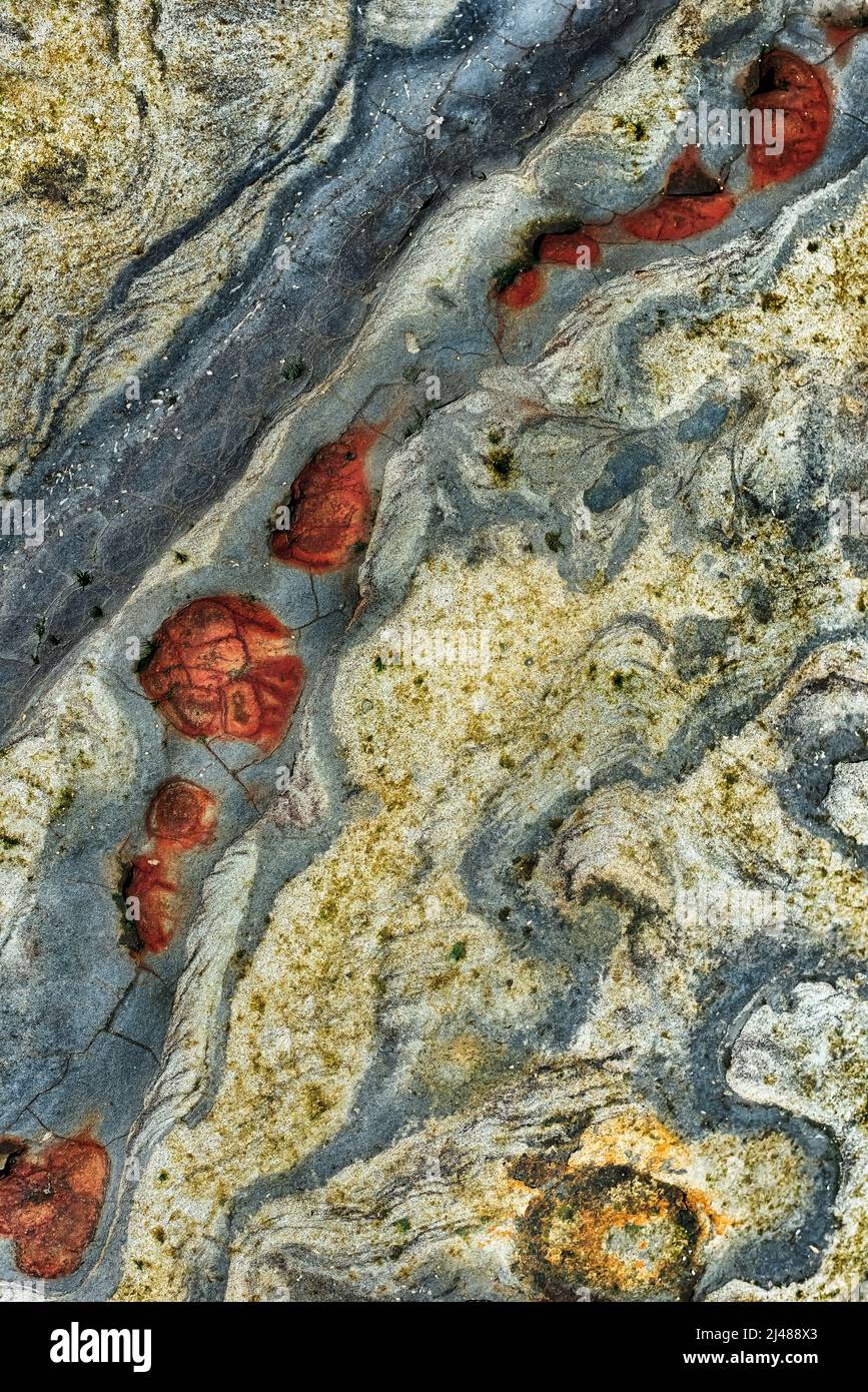 Vue rapprochée sur les rochers de la piscine à marée avec des couleurs et des motifs uniques Banque D'Images