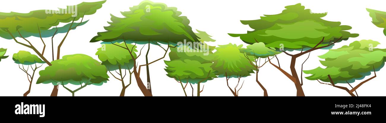 Paysage africain. Illustration horizontale sans couture. Isolé sur fond blanc. Acacia. Plantes de savane d'Afrique. Vecteur Illustration de Vecteur