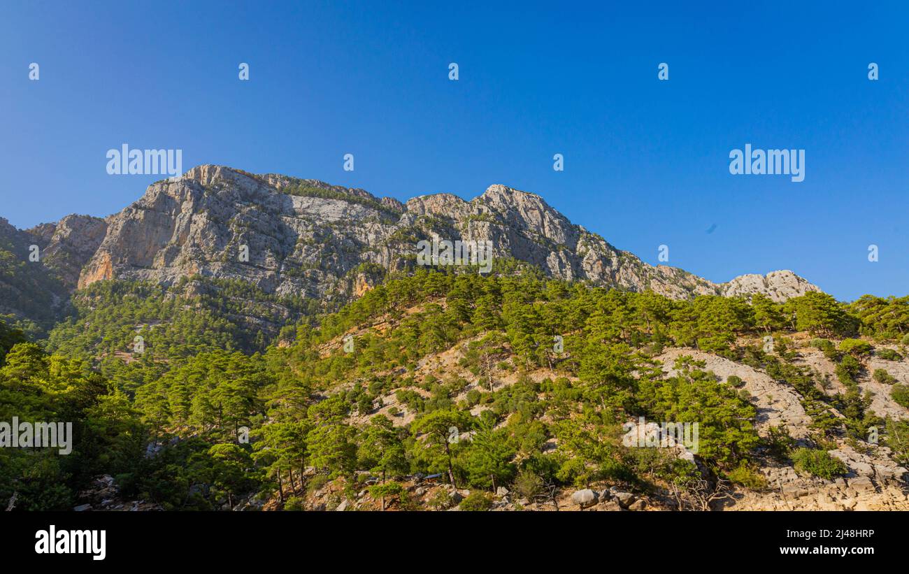 Sommets de montagne avec conifères dans Green Canyon en Turquie Banque D'Images