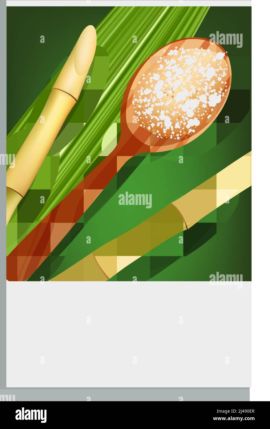 Jeu de cartes verticales avec sucre de canne dans différentes formes, feuilles vertes, vaisselle en bois illustration vectorielle isolée Illustration de Vecteur