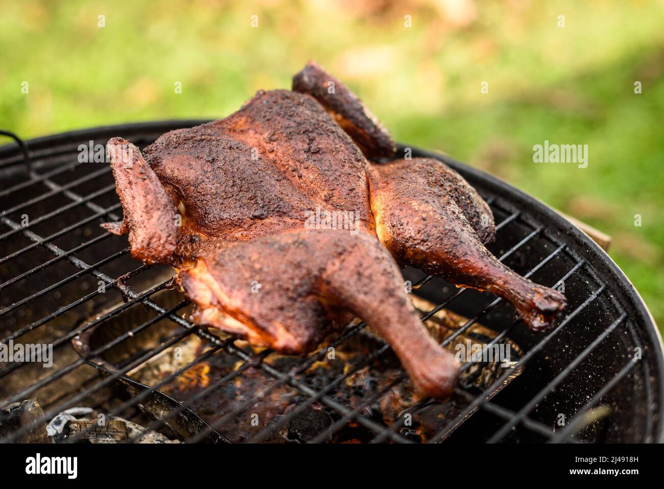 Poulet traditionnel au barbecue spatchcoké et mattone sur le grill au charbon de bois. Griller et fumer du poulet à la craque en plein air sur du bois de chauffage barbecue grill en natu Banque D'Images
