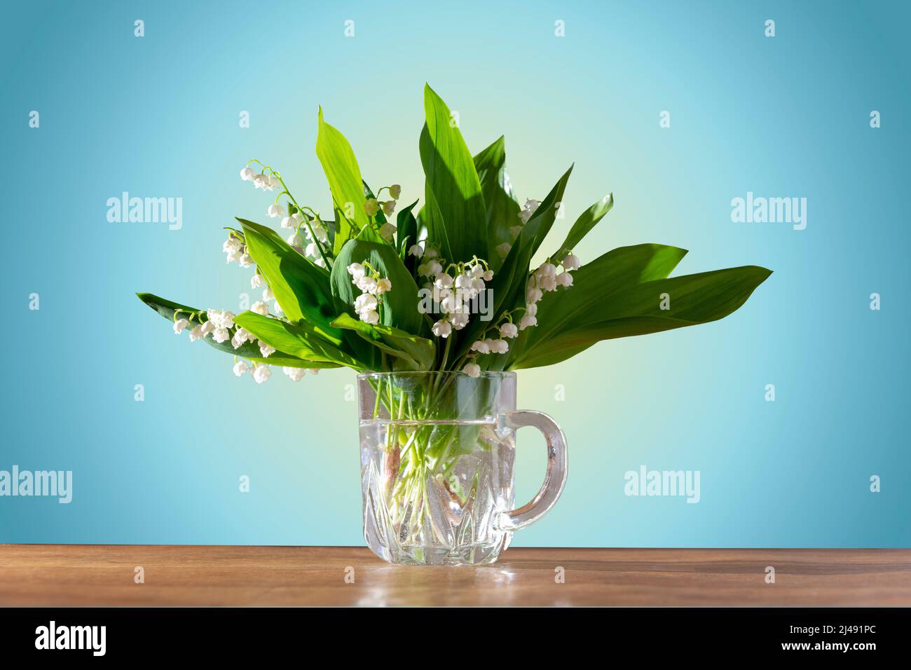 beau bouquet de lys frais de la vallée dans une tasse en verre sur fond bleu de table en bois Banque D'Images