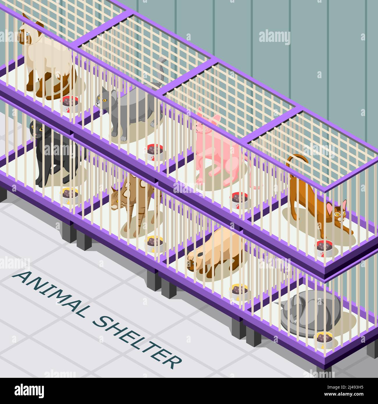 Le chat abrite un arrière-plan isométrique avec des animaux de différentes races dans cages avec illustration du vecteur d'alimentation Illustration de Vecteur