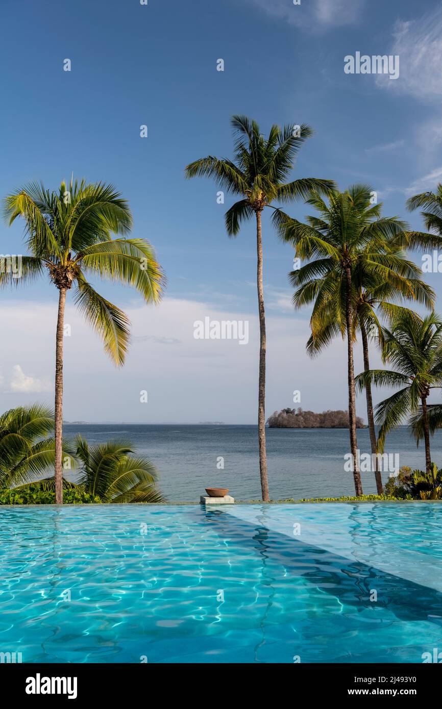 Station balnéaire luxueuse avec piscine avec palmiers et ciel bleu, voyage sur l'île d'été et vacances pittoresques, archipel de Las Perlas, Panama, cent Banque D'Images