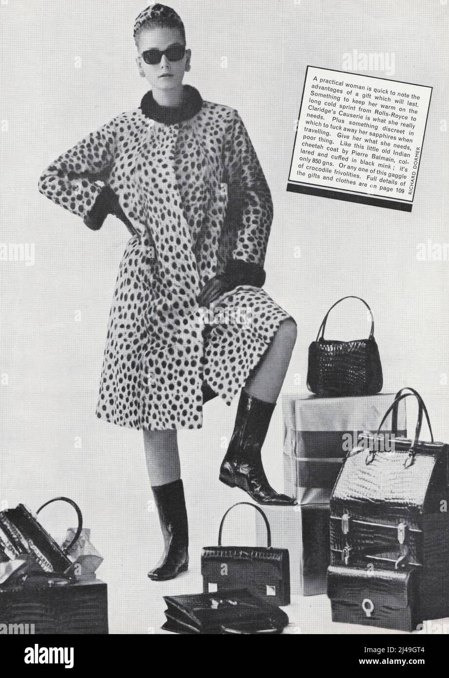 Femme avec leopade sans soleil cheetah fourrure manteau par Pierre Balmain crocodile sacs à main noir vison vintage photo de mode 1960s Banque D'Images