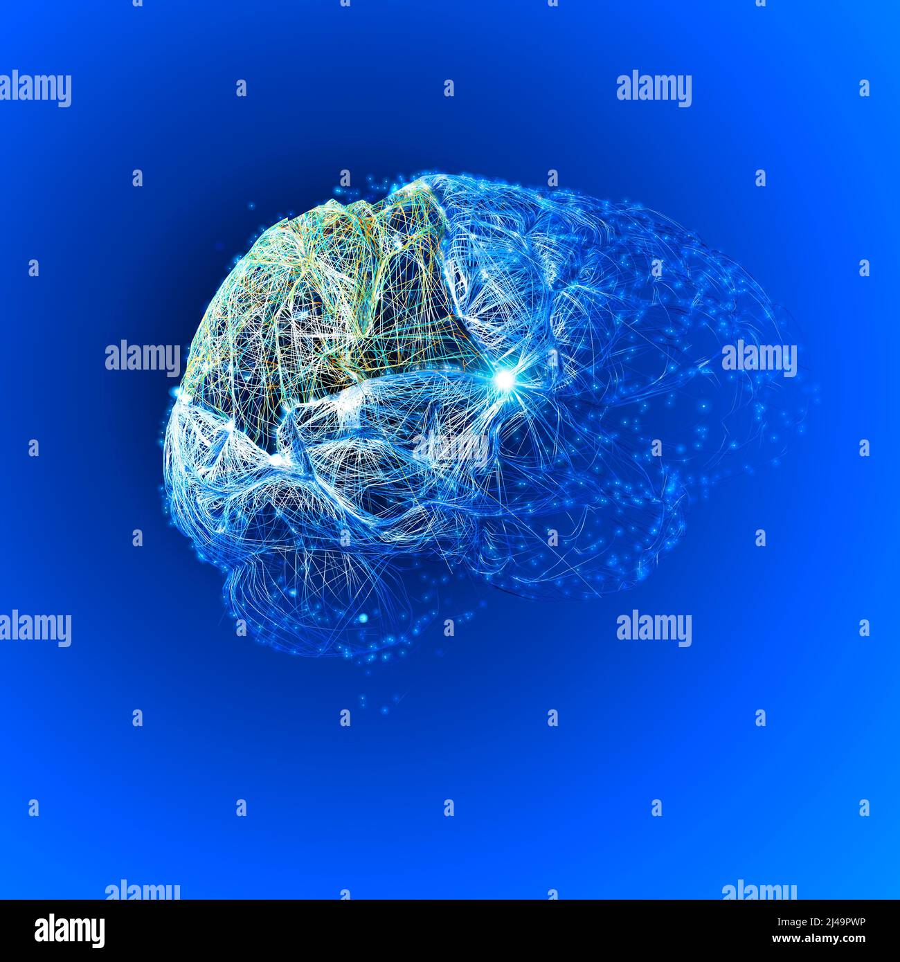 Cerveau, le lobe pariétal est vital pour la perception et l'intégration sensorielles, y compris la gestion du goût, de l'ouïe, de la vue, du toucher et de l'odorat Banque D'Images