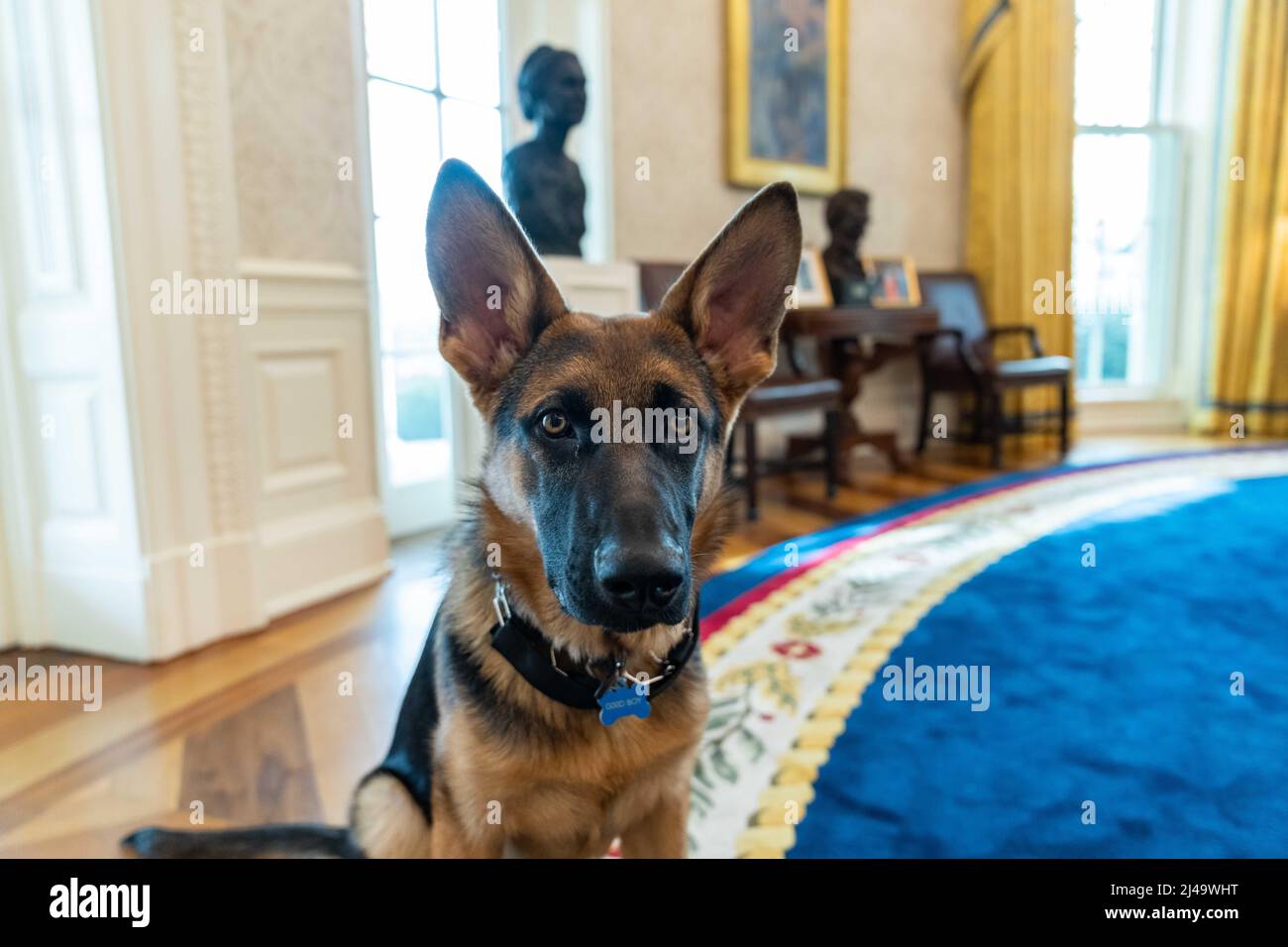 Le commandant Biden visite le Bureau ovale, le mercredi 16 mars 2022. (Photo officielle de la Maison Blanche par Adam Schultz) Banque D'Images