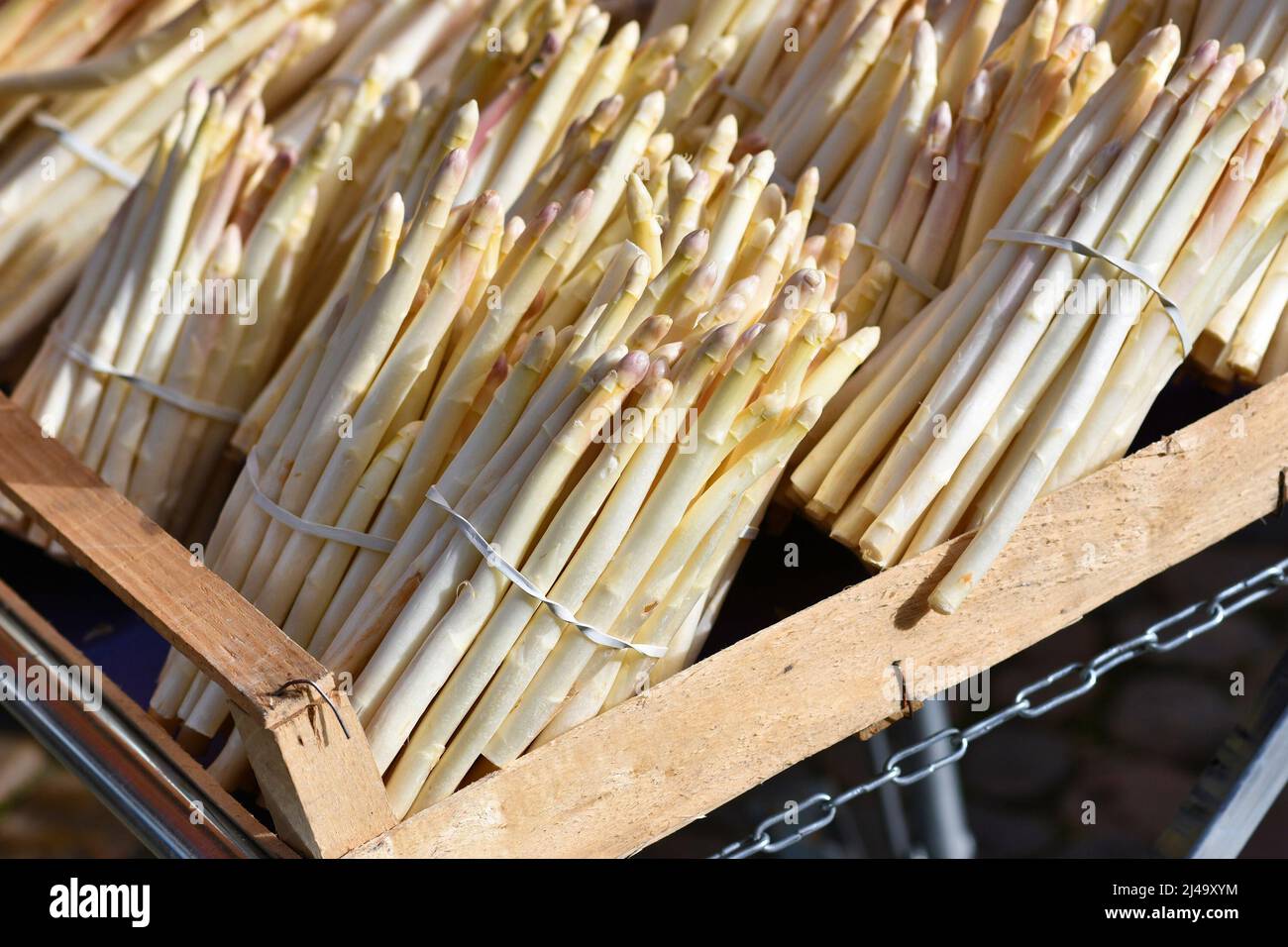Des petits pains de légumes asperges blancs à la stalle du marché Banque D'Images