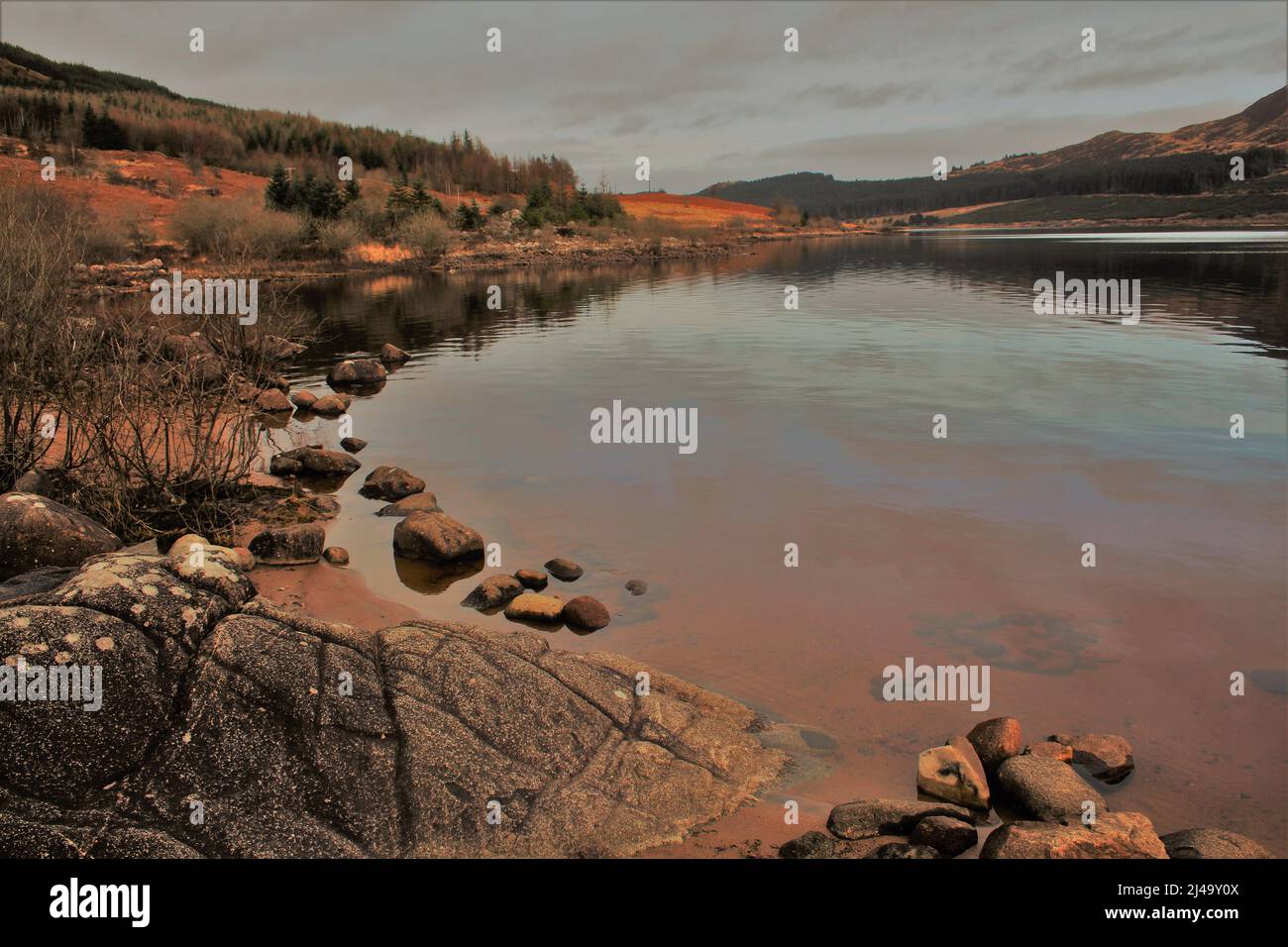 Galloway Forest Park - Écosse Banque D'Images