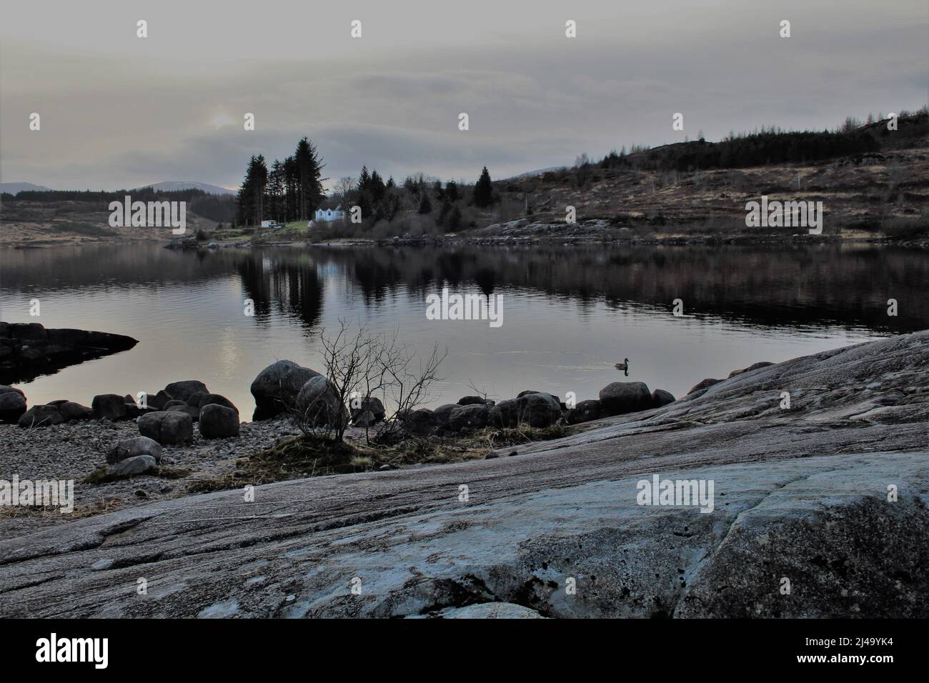 Galloway Forest Park - Écosse Banque D'Images