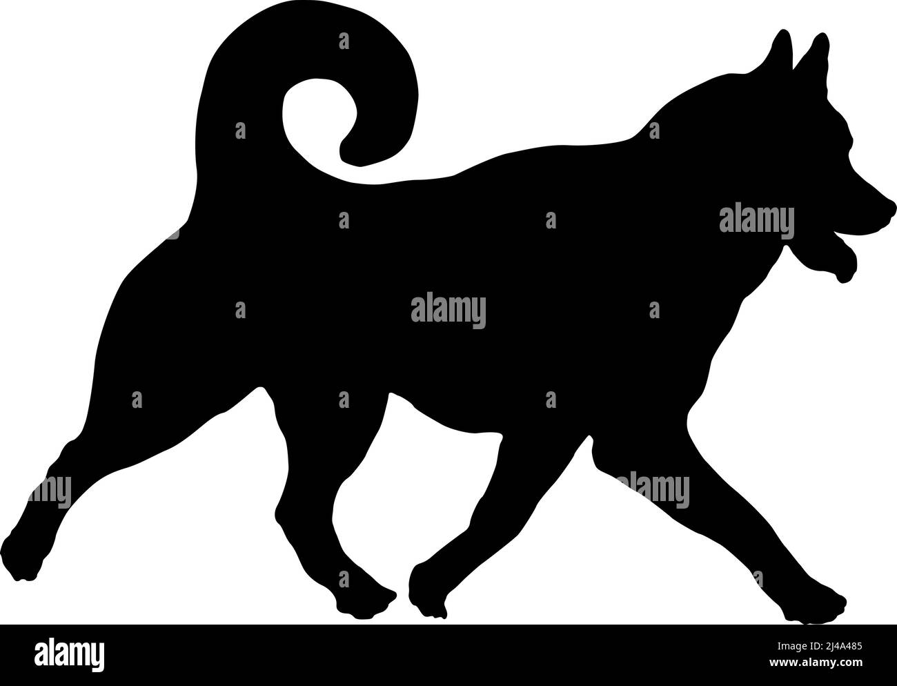 Silhouette de chien noire. Chien Husky siberian en fonctionnement. Animaux de compagnie. Isolé sur un fond blanc. Illustration vectorielle. Illustration de Vecteur Silhouette de chien noire. Chien Husky siberian en fonctionnement. Animaux de compagnie. Isolé sur un fond blanc. Illustration vectorielle. Illustration de Vecteur
