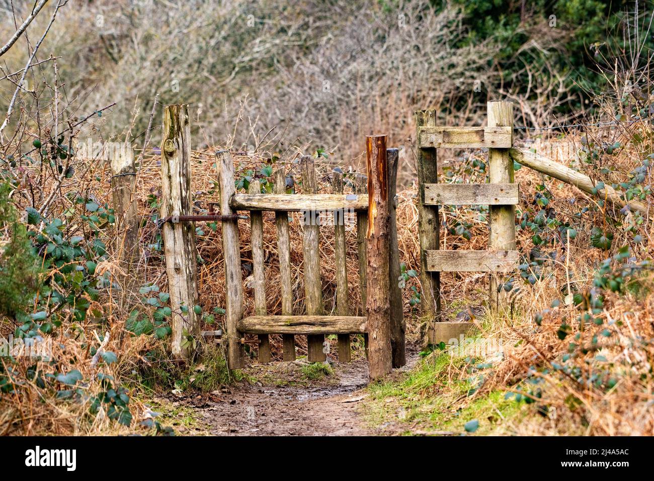 Une porte en bois un sentier, Silverdale, Carnforth, Lancashire, Royaume-Uni. Banque D'Images