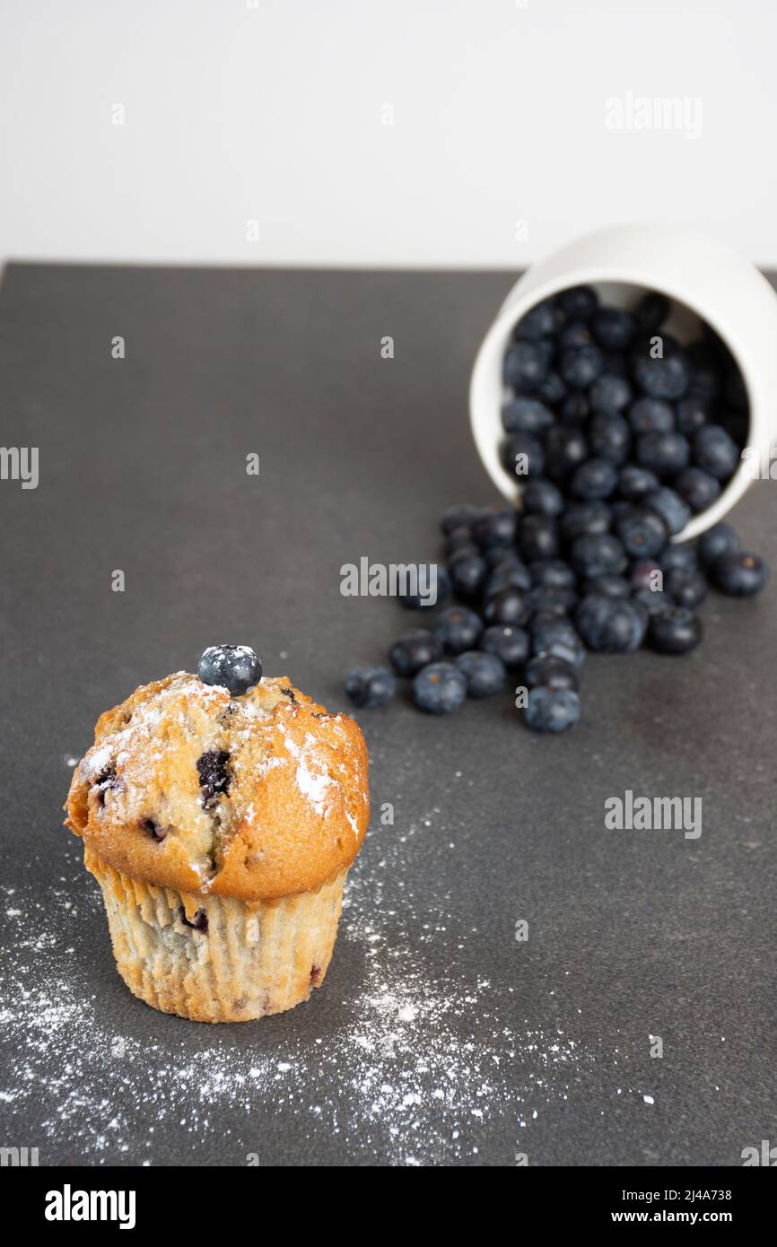 Muffin de myrtille en studio photographie de nourriture Banque D'Images