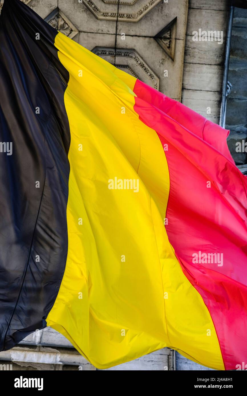 Drapeau drapeau | drapeau belge Banque D'Images