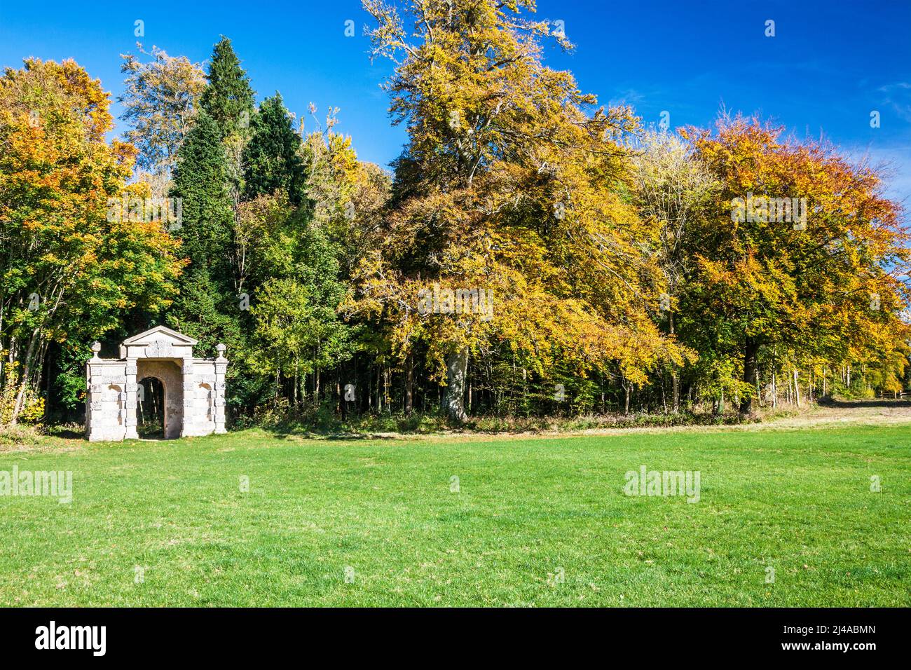 Automne au parc Cirencester sur le domaine de Bathhurst à Gloucestershire. Banque D'Images