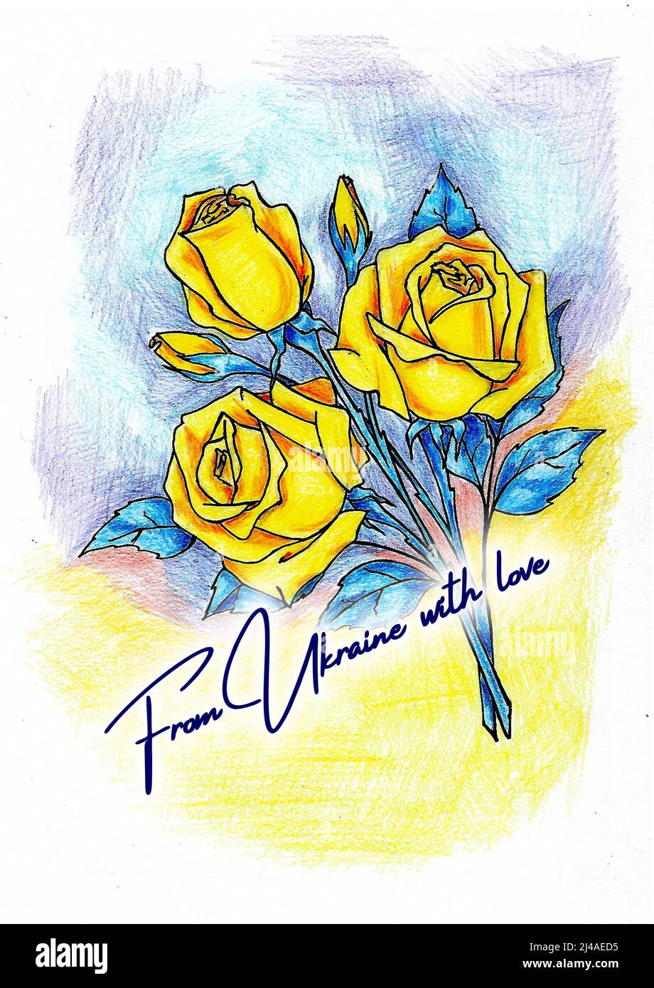 bouquet de roses jaune-bleu sur fond bleu-jaune avec texte Banque D'Images