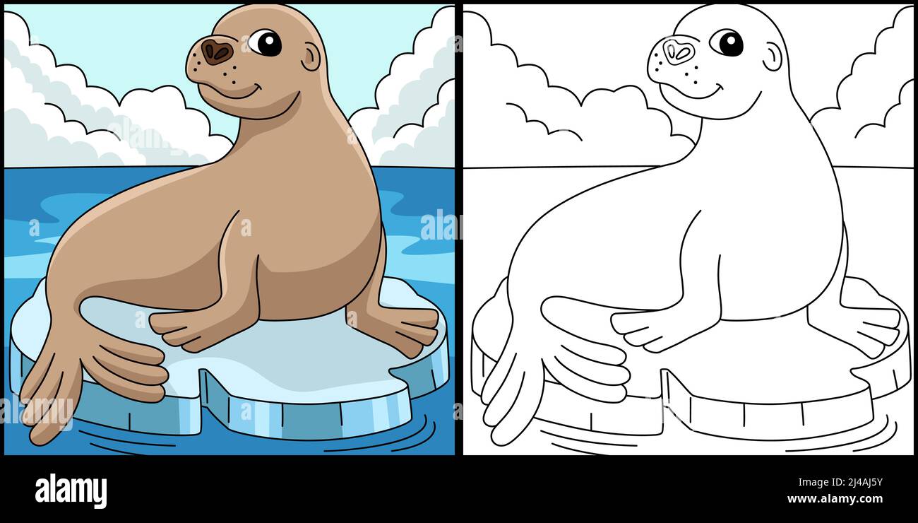 Illustration de couleur de page d'animal de Lion de mer Illustration de Vecteur