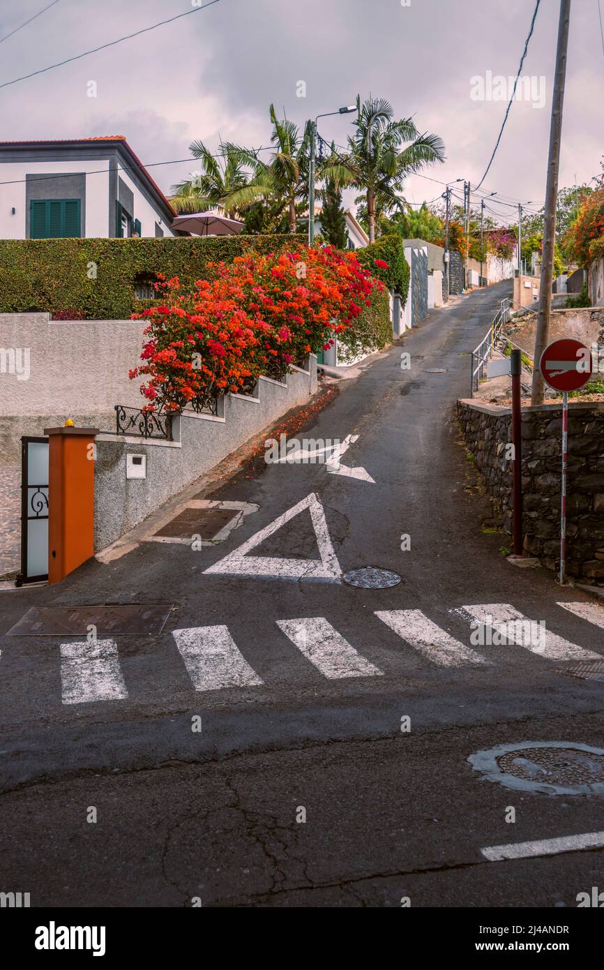 Une rue vide et escarpée dans la ville de Funchal en journée Banque D'Images