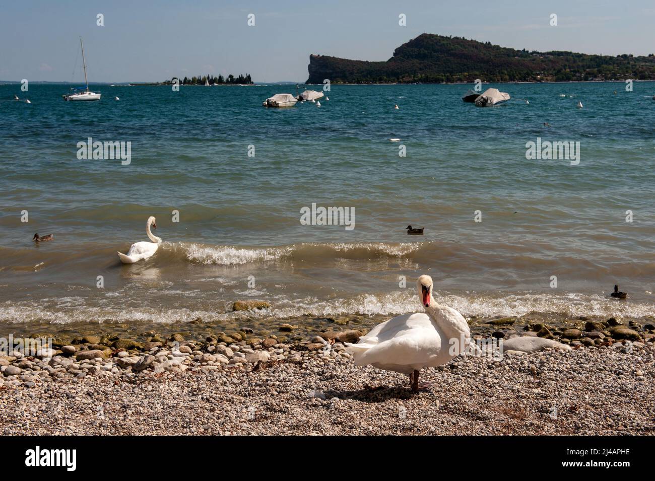 San Felice sul Garda, Brescia, Italie 20/08/2015: La plage. ©Andrea Sabbadini Banque D'Images