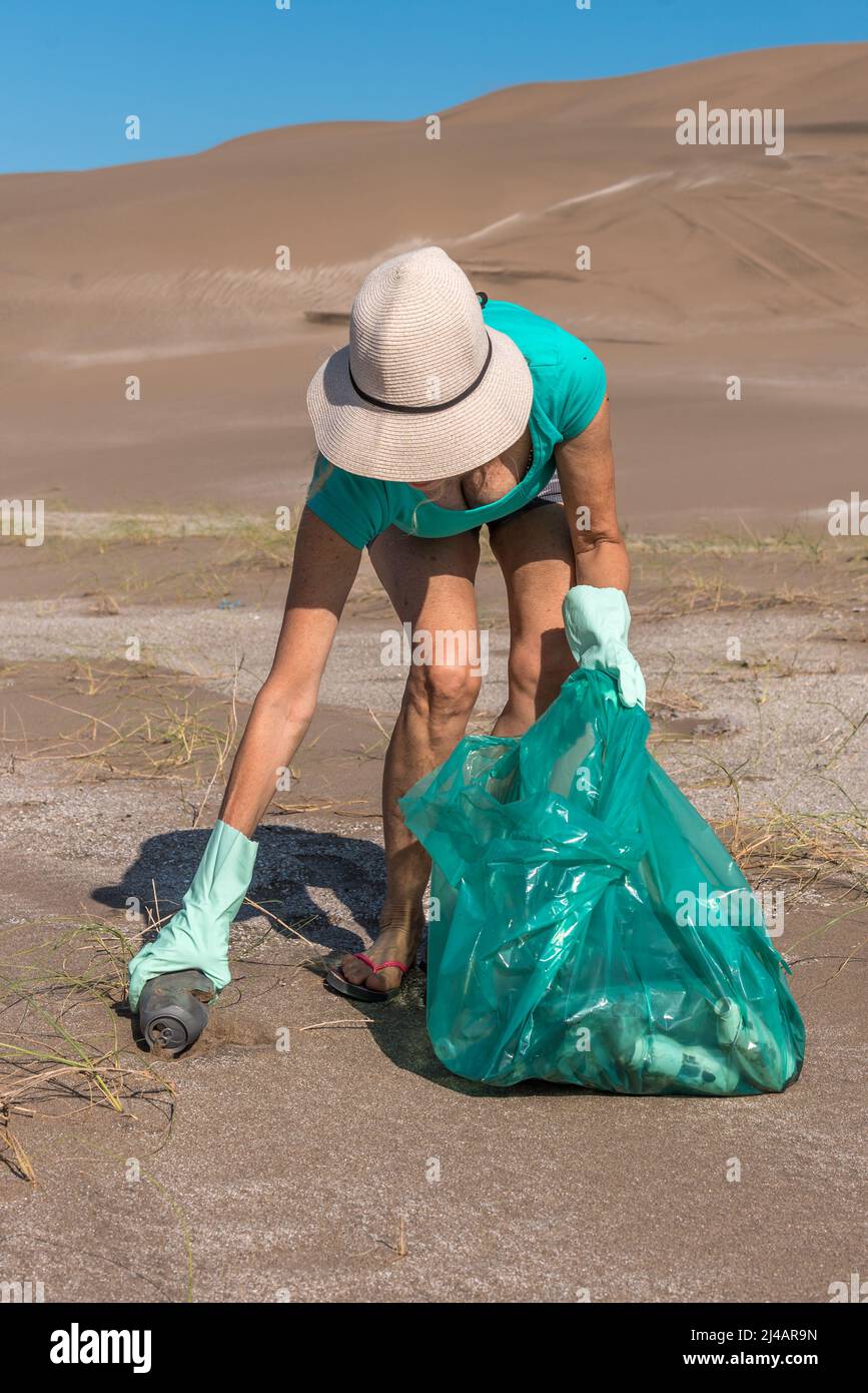 Femme adulte méconnaissable en casquette blanche et gants verts se pliant avec un sac de déchets. Ramassage d'une canette de soda abandonnée du sable. Banque D'Images