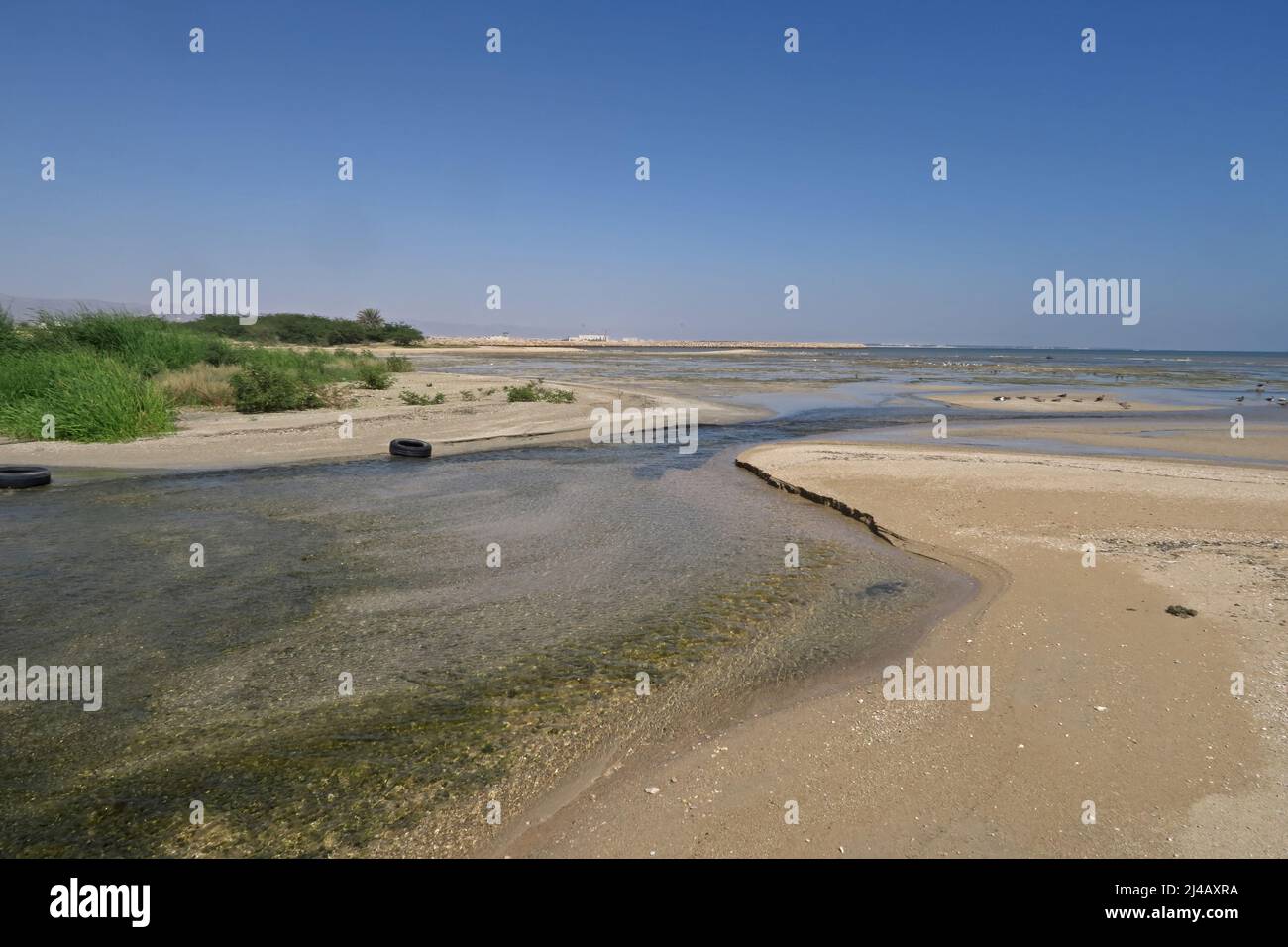 Ruisseau entrant dans la mer d'Arabie au-dessus de la plage sud d'Oman Décembre Banque D'Images