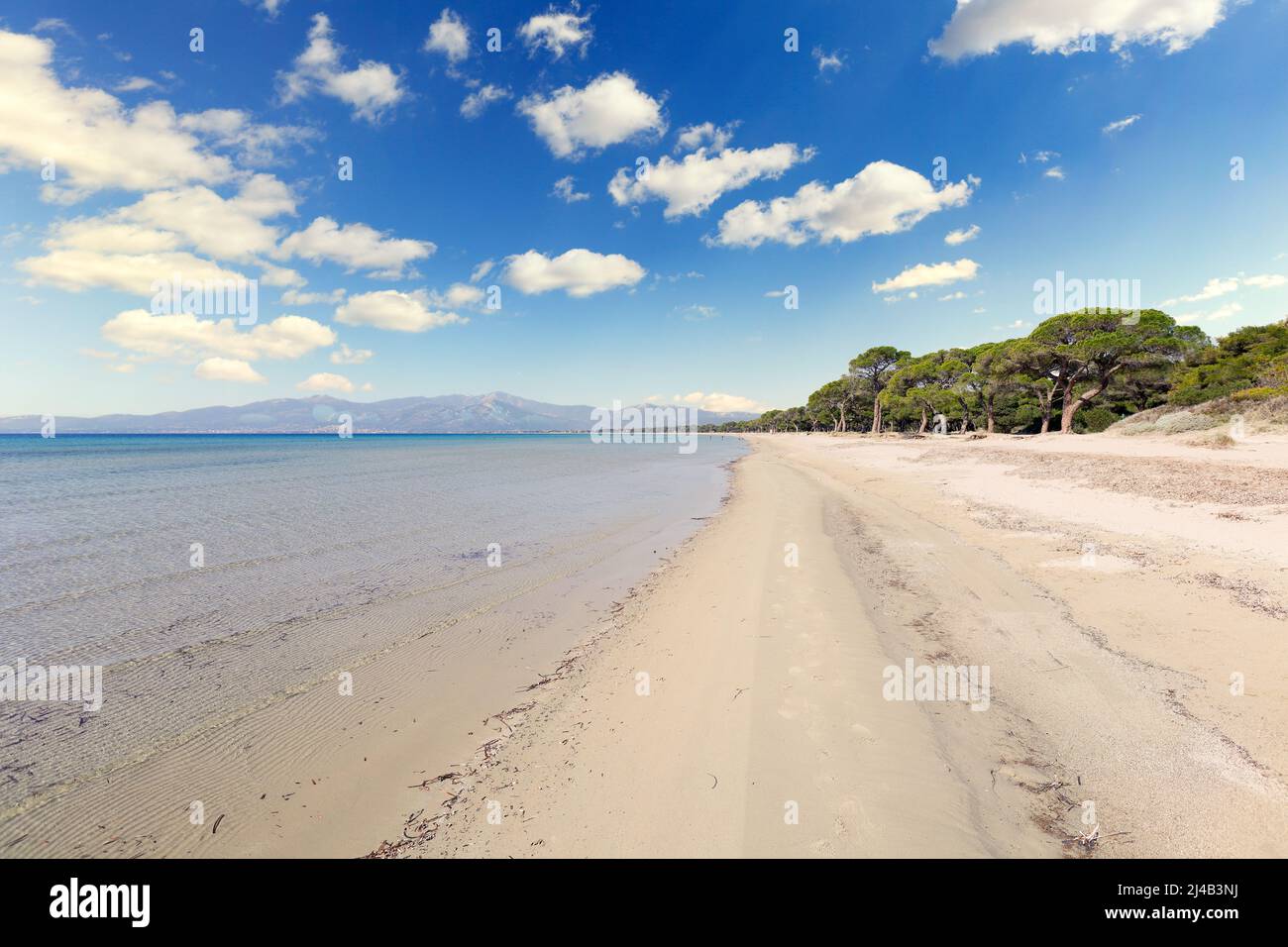 La plage de Schinias est l'une des plus populaires d'Attica près d'Athènes, en Grèce Banque D'Images