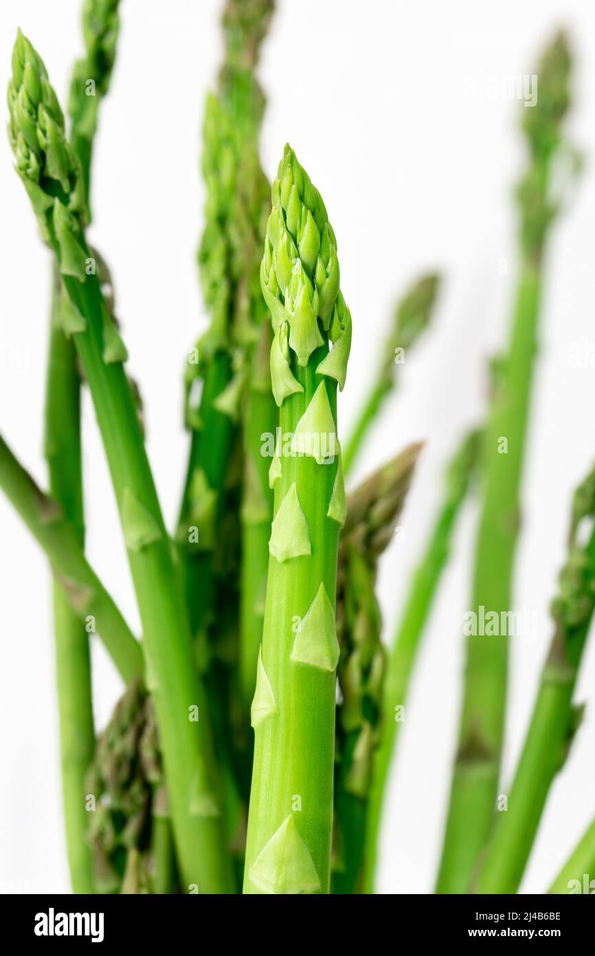 Gros plan des épis d'asperges sur fond blanc. Banque D'Images