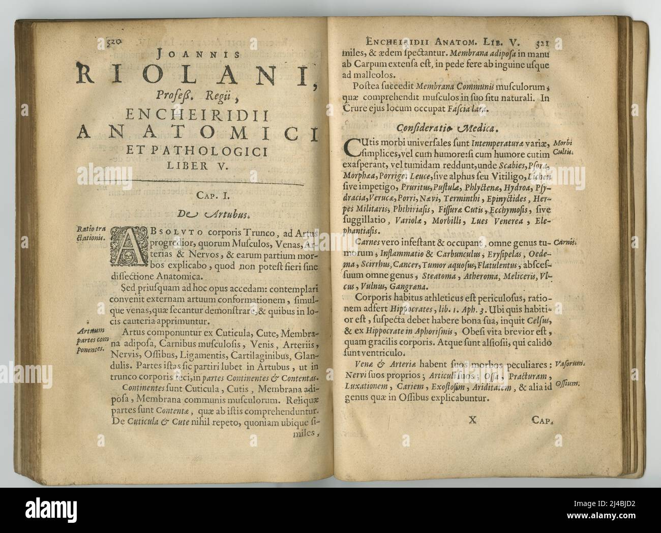 Vieux livre latin. Un ancien livre d'anatomie avec ses pages affichées. Banque D'Images