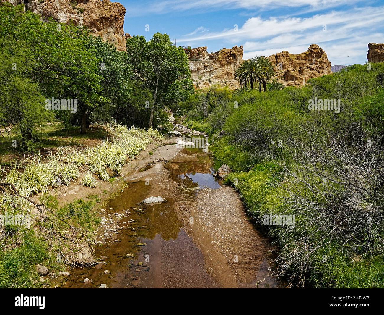 Le lent filet d'eau d'un ruisseau dans l'Arizona aride apporte la vie à un canyon éloigné Banque D'Images