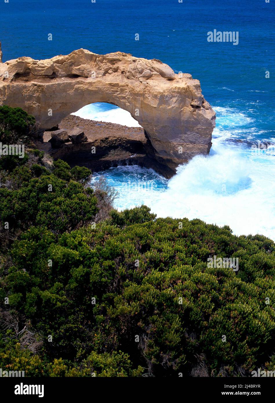 Formations de calcaire, Great Ocean Road, Port Campbell, Victoria Australie Banque D'Images
