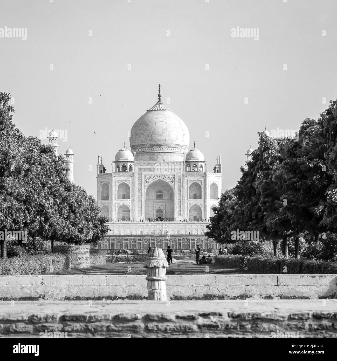 Taj Mahal une des merveilles de la vue du monde de Mehtab Bagh côté jardin, Taj Mahal, Agra, Uttar Pradesh, Inde, Vue de jour ensoleillée Noir et blanc Banque D'Images