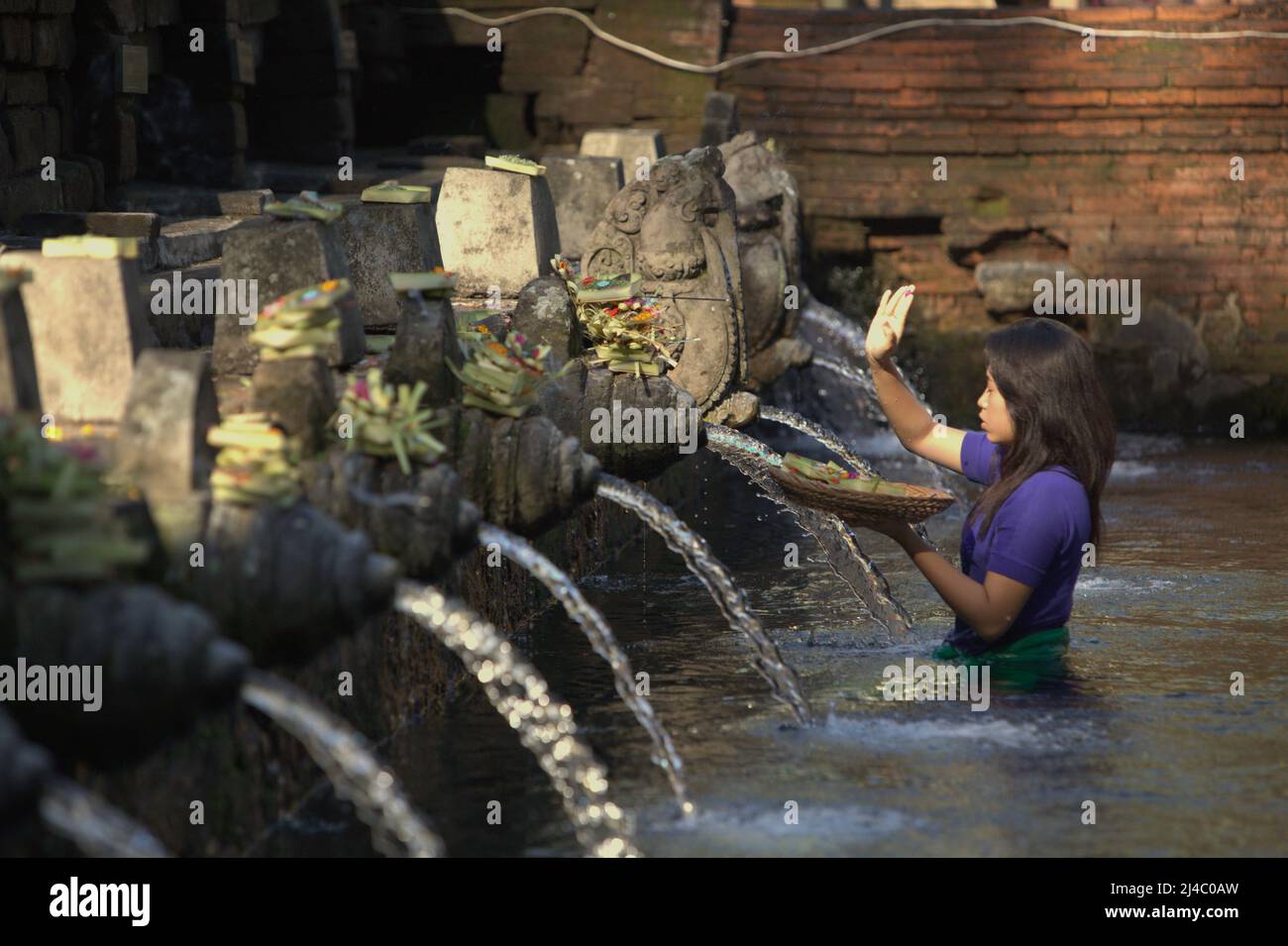 Une femme priant après qu'elle ait mis une offrande à la piscine du temple de Tirta Empul à Tampaksiring, Gianyar, Bali, Indonésie. L'eau est considérée comme sainte à Bali. Banque D'Images