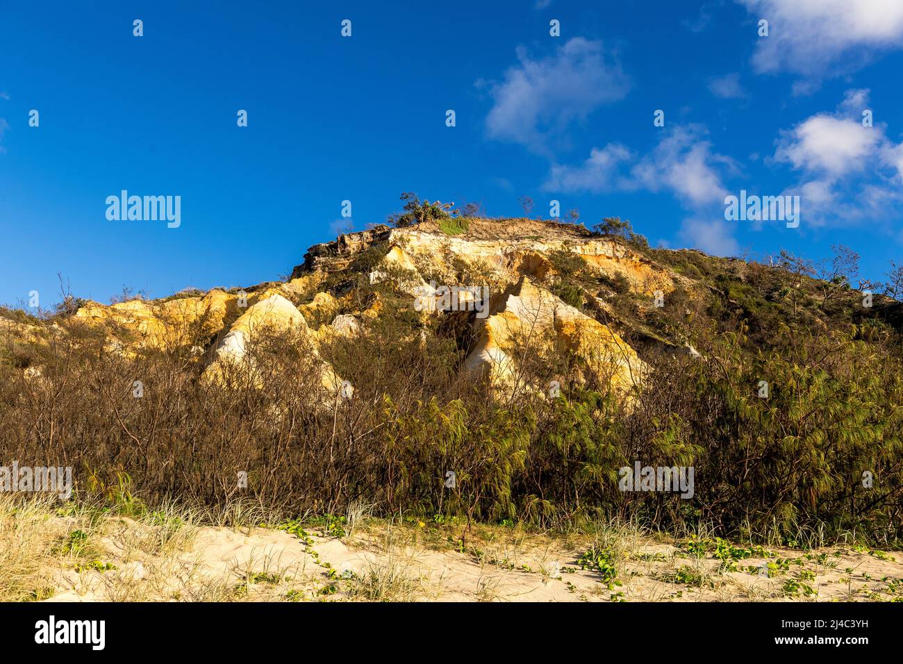 Les Pinnacles sont des dunes de sable colorées sur la côte est, le long de Seventy Five Mile Beach sur Fraser Island, Queensland, Australie Banque D'Images