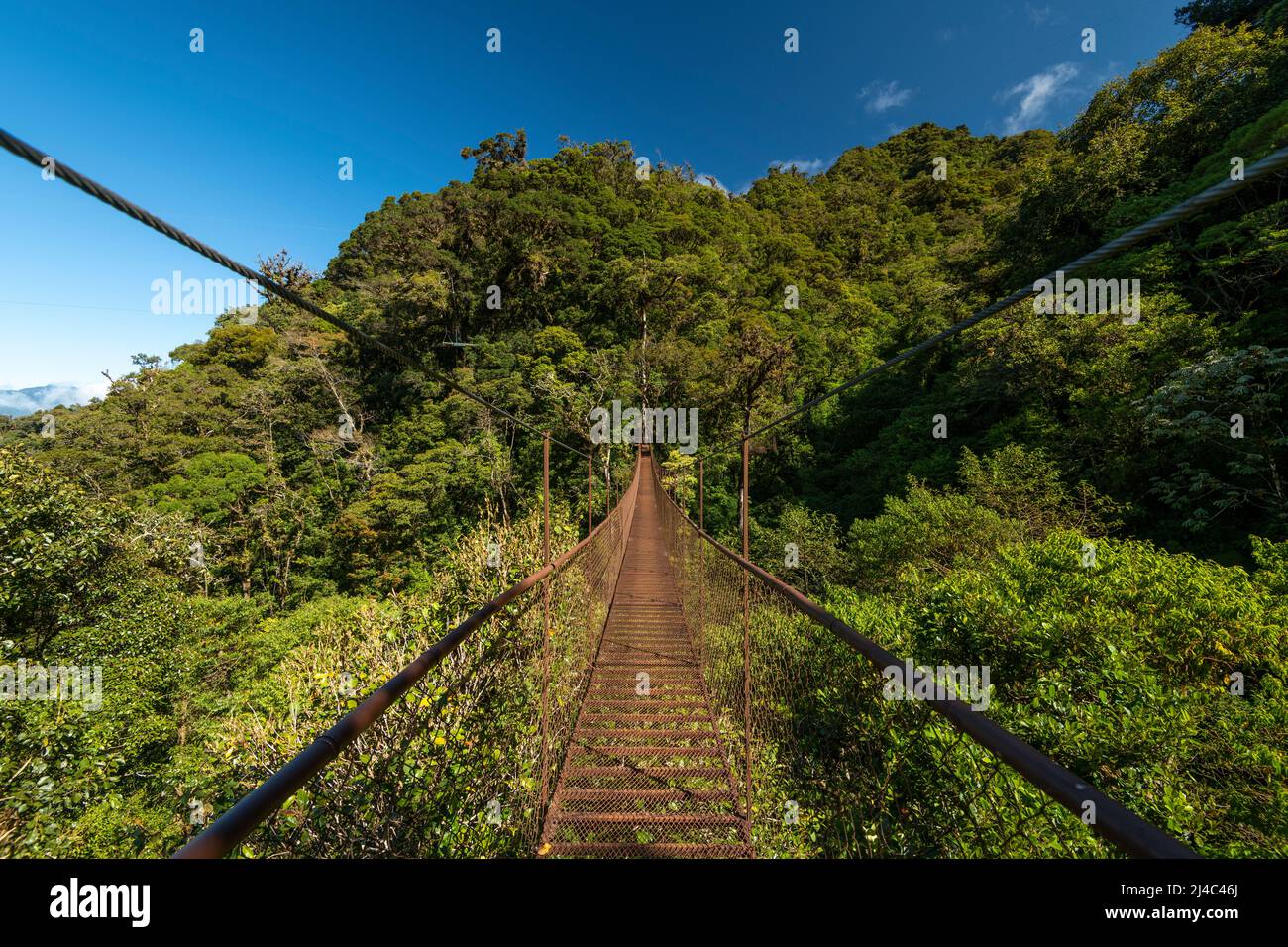Pont suspendu dans la forêt tropicale, parc national du volcan Baru, montagnes du Chiriqui, Panama, Amérique centrale Banque D'Images