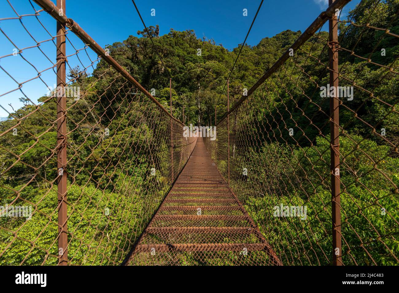 Pont suspendu dans la forêt tropicale, parc national du volcan Baru, montagnes du Chiriqui, Panama, Amérique centrale Banque D'Images