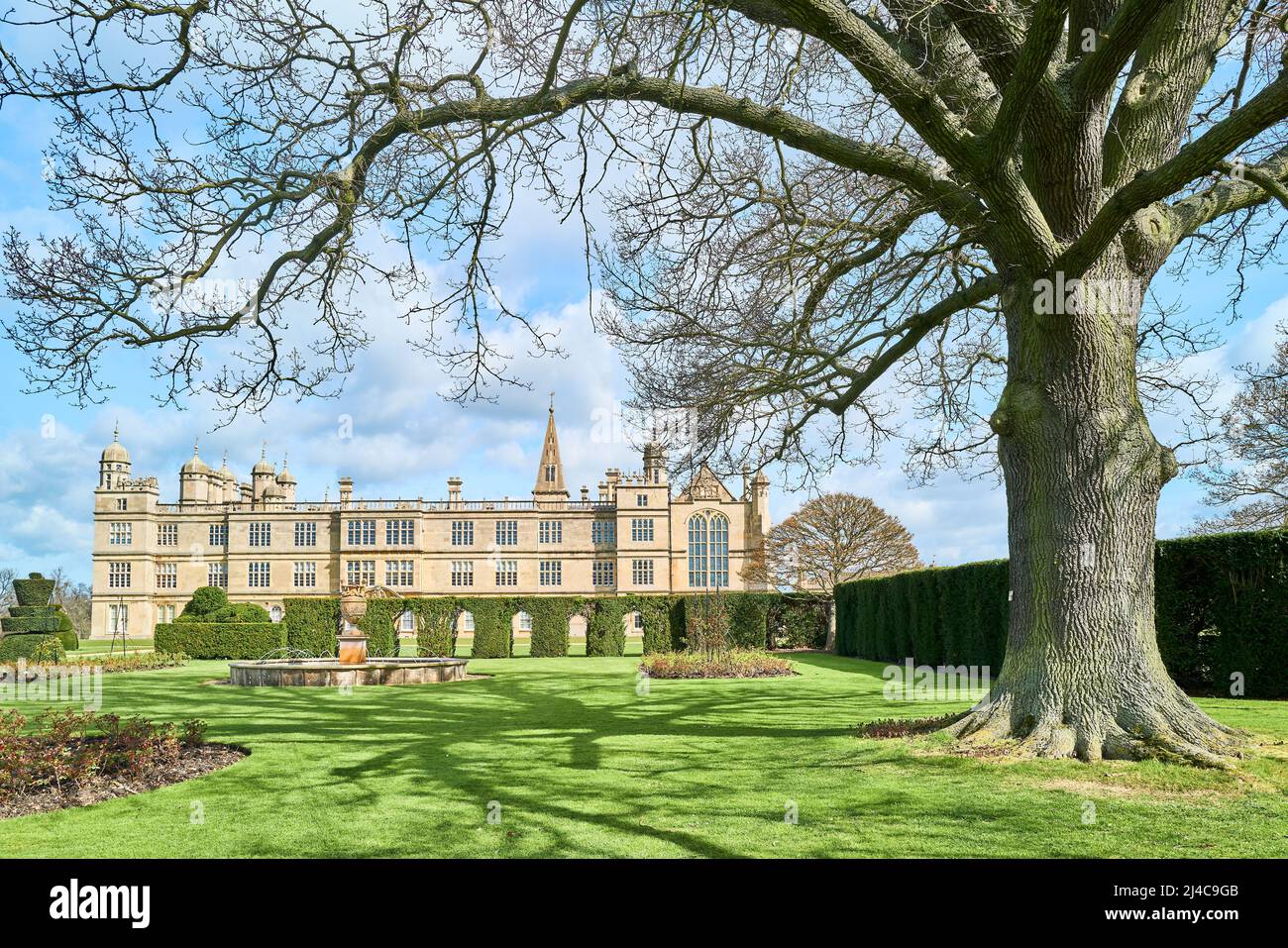 Chêne dans le jardin du Sud, au début du printemps, à Burghley House, Stamford, en Angleterre, un manoir élisabéthain appartenant à la famille Cecil. Banque D'Images